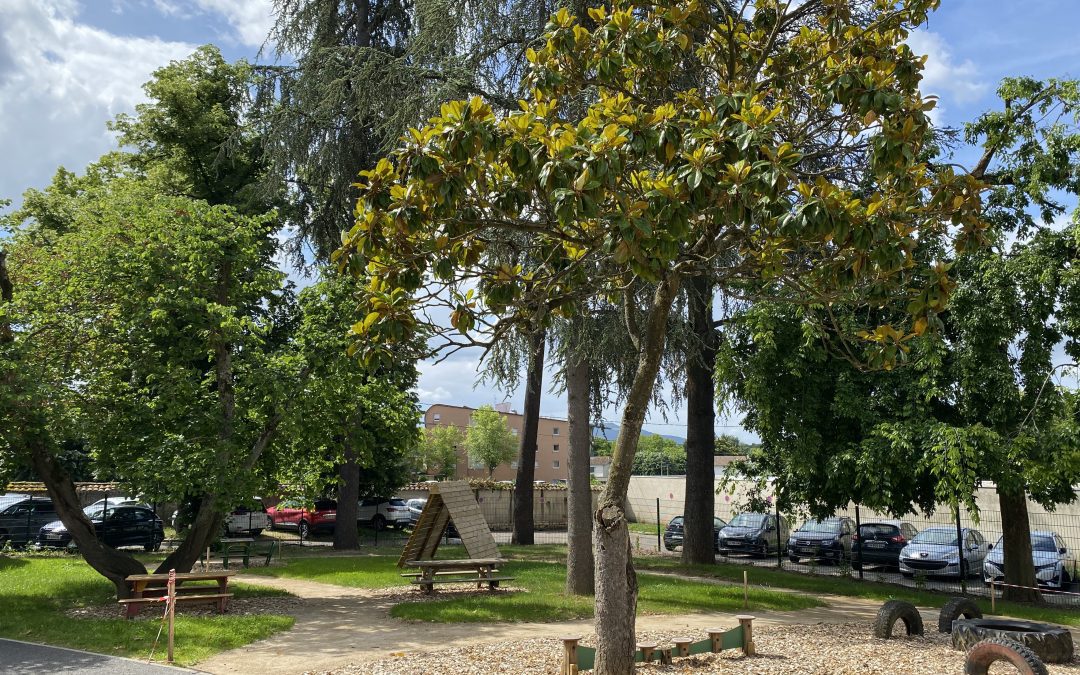 Espace nature sur la cour de la Forêt