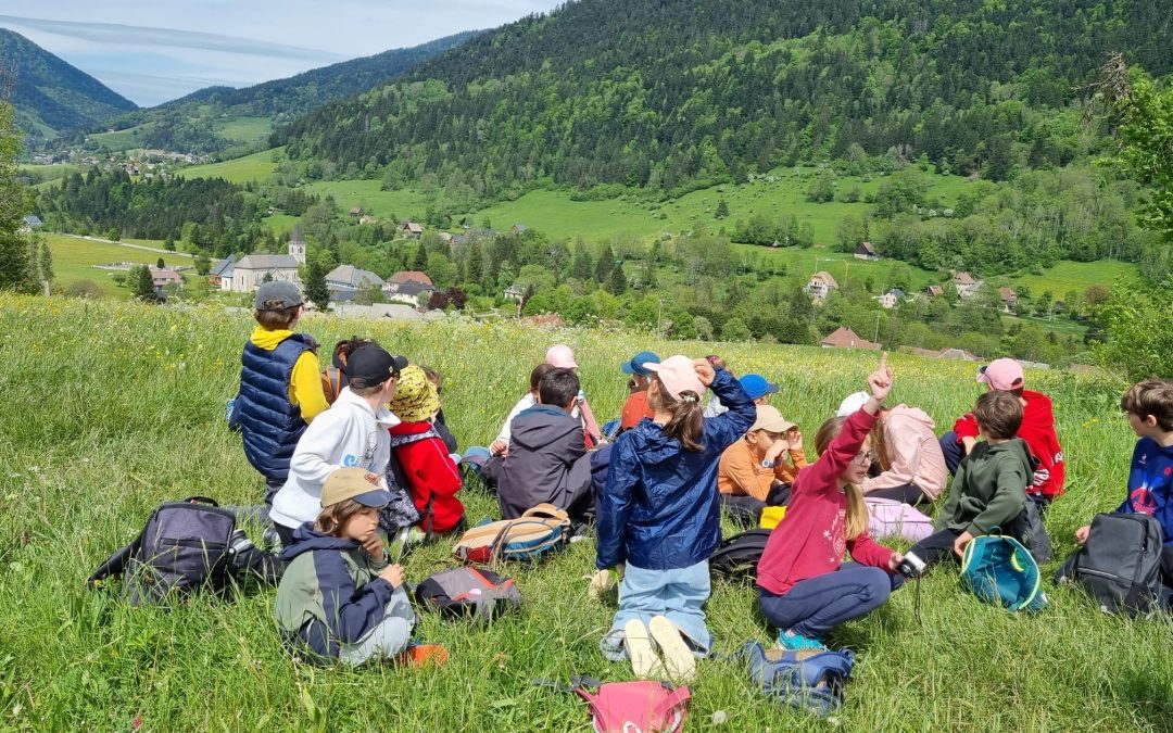 Classes découvertes 2025